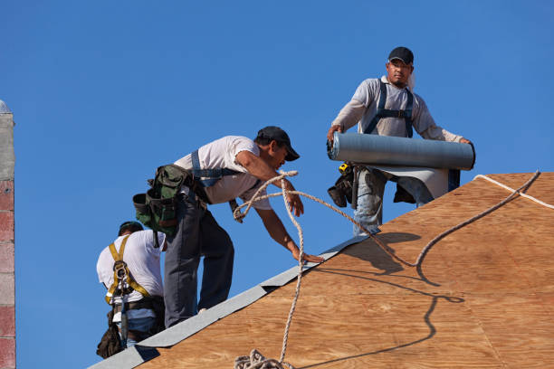 Best Gutter Installation and Roofing  in Tazewell, TN